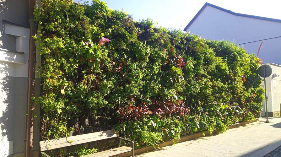 Geotextília felhasználása függőleges kert kialakításához